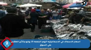 أسعار الأسماك في الإسماعيلية اليوم الجمعة 25 يوليو وتأثير الطقس على السوق